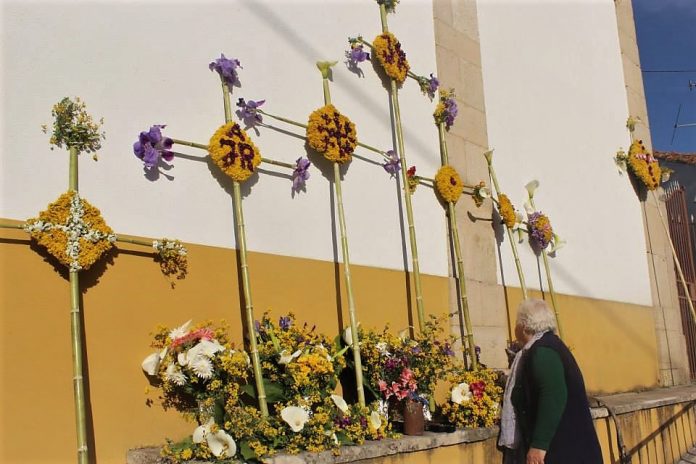 cem soldos