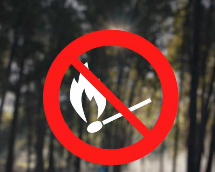 Portal_Nacional_dos_Municipios_e_Freguesias_Ourem_20200817_160134