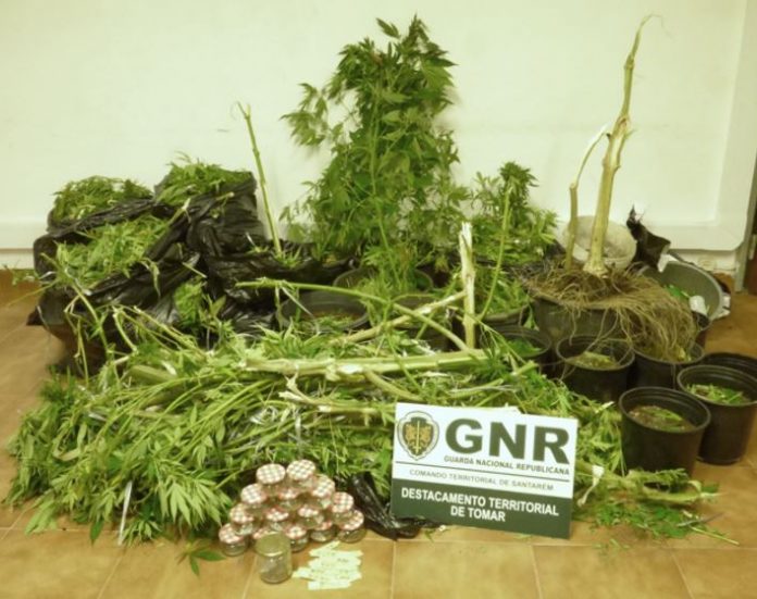 GNR Santarém - Apreensão