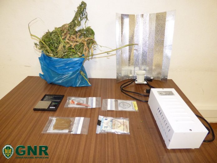 GNR Santarém - Apreensao1
