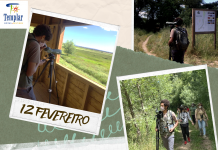 Observação de aves na Reserva Natural do Paúl do Boquilobo