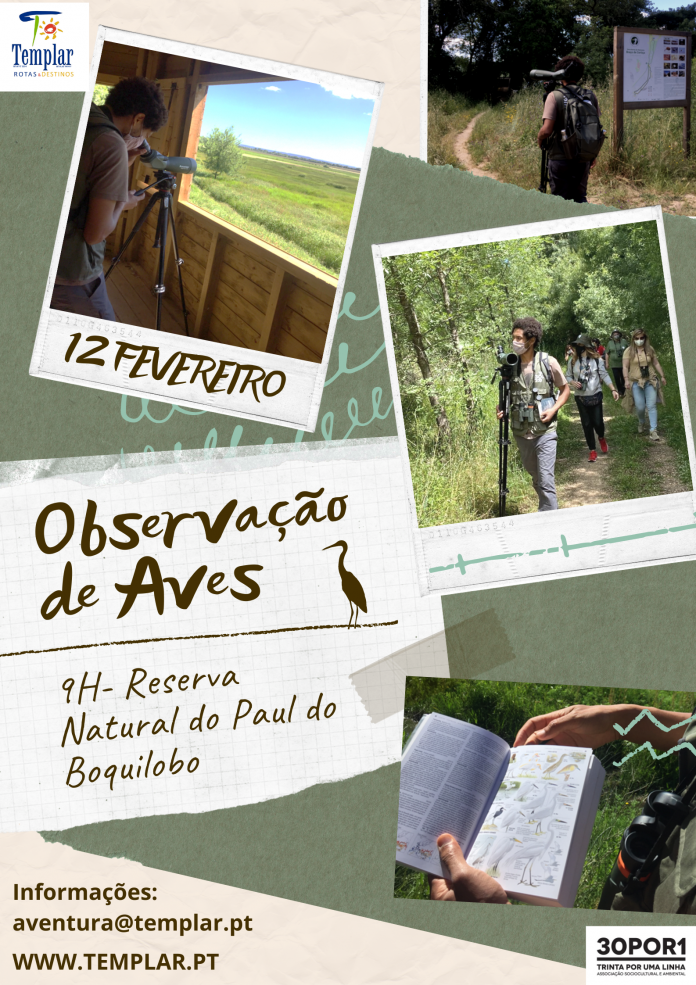 Cartaz Observação de Aves RNPB (1)