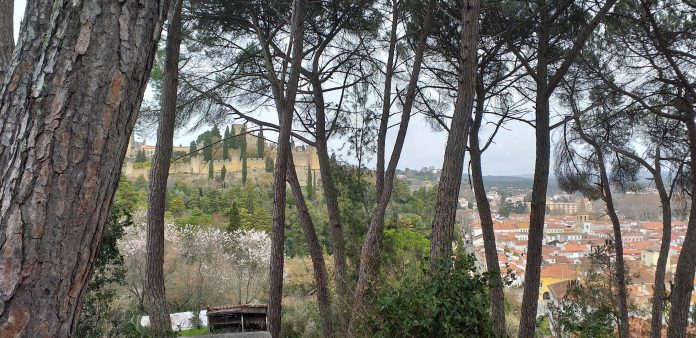 pinhal
