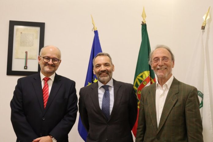 provedor
