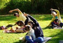 Cinco animais adotados na mais recente campanha do CRO de Tomar