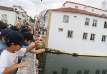 Dia de Santa Iria:  cumpriu-se a tradição de lançar pétalas ao rio Nabão