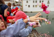 Pétalas e devoção na procissão de Santa Iria em Tomar