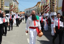 Flores naturais, tradição e fé marcaram o Cortejo do Divino Espírito Santo em Carregueiros