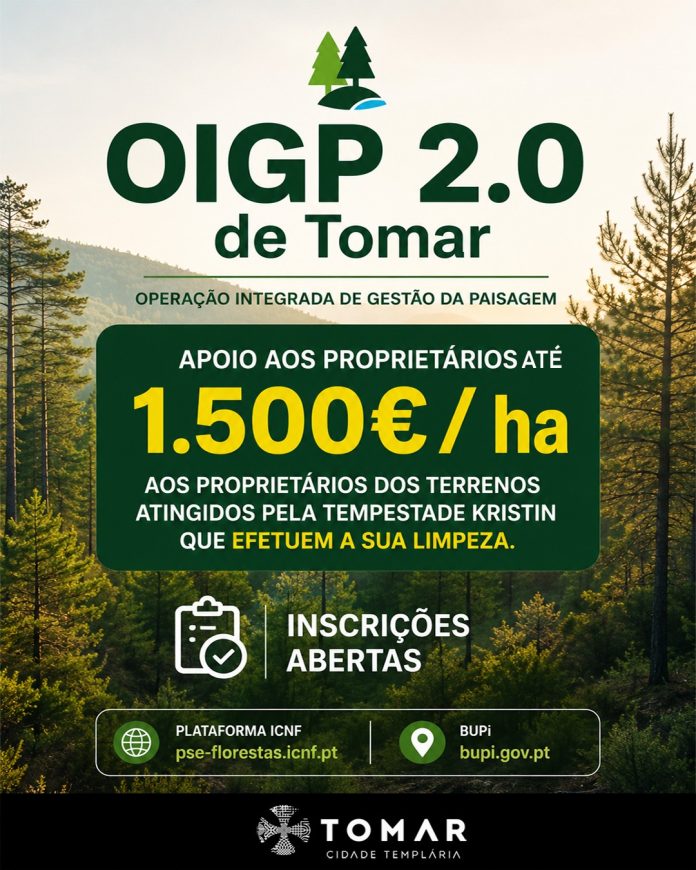 limpeza terrenos