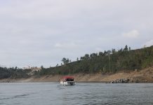 Apontamentos