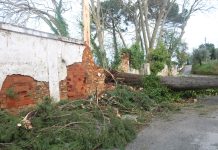 Seis meses após a Tempestade Kristin: CIM Médio Tejo aponta infraestruturas e telecomunicações entre problemas por resolver