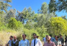 Mata dos Sete Montes reabre ao público em outubro, garante autarquia