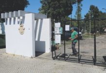 Festival da Saúde 2026 promove saúde e bem-estar no Parque Urbano de Tomar